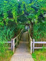 featured image of 30 Gale Ave