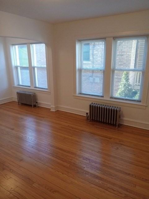 3836 W Cornelia Ave Apt 1 - Photo 3 of 12