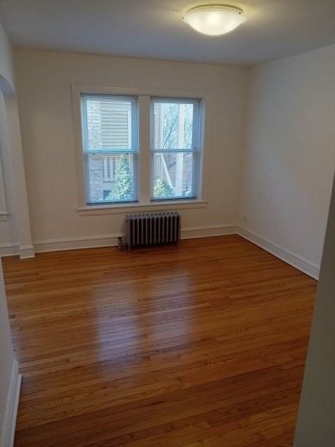 3836 W Cornelia Ave Apt 1 - Photo 6 of 12