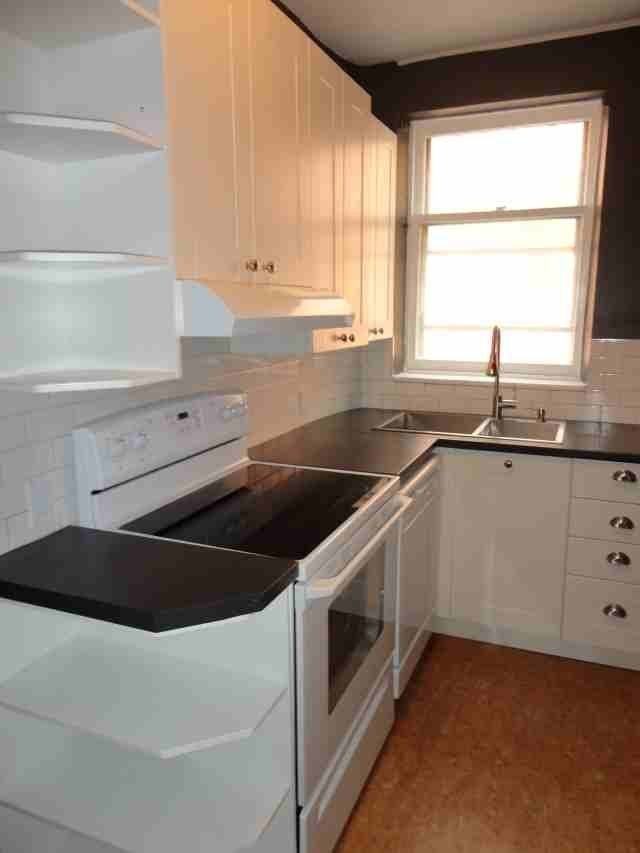 4982 Ch Queen-Mary - Photo 5 of 12