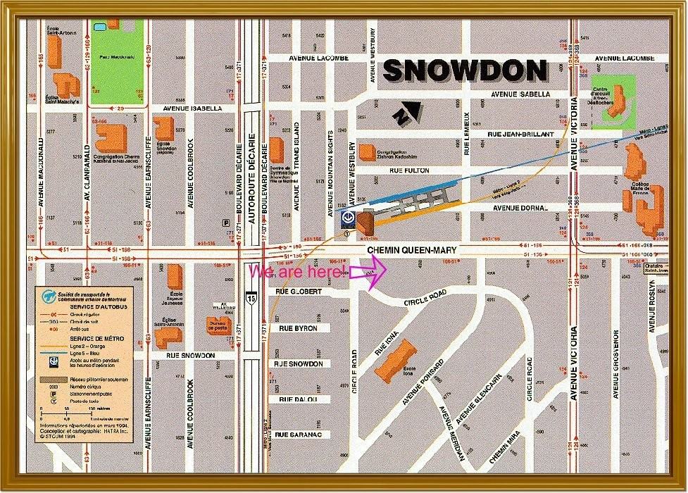 4982 Ch Queen-Mary - Photo 7 of 12