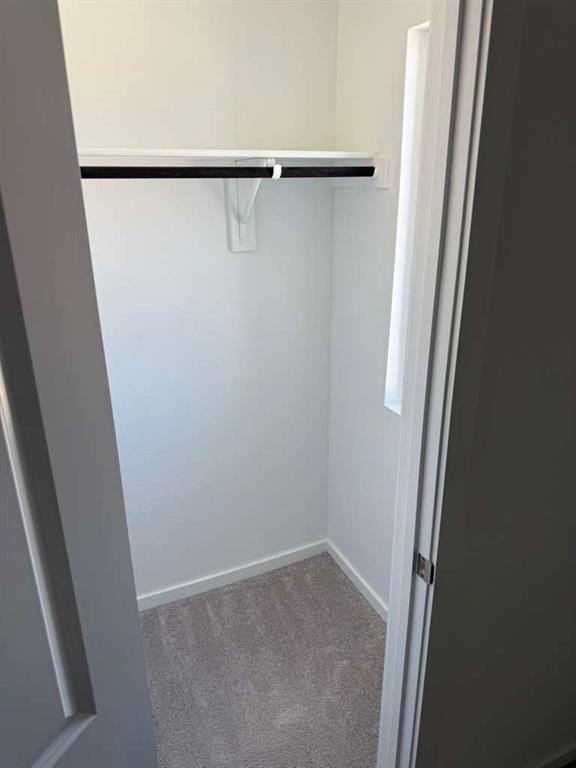 12128 Thoroughbred Dr - Photo 5 of 7