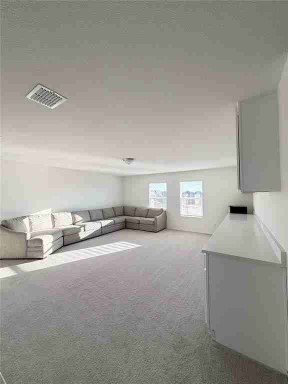 1129 Clear Dusk Ln - Photo 5 of 13