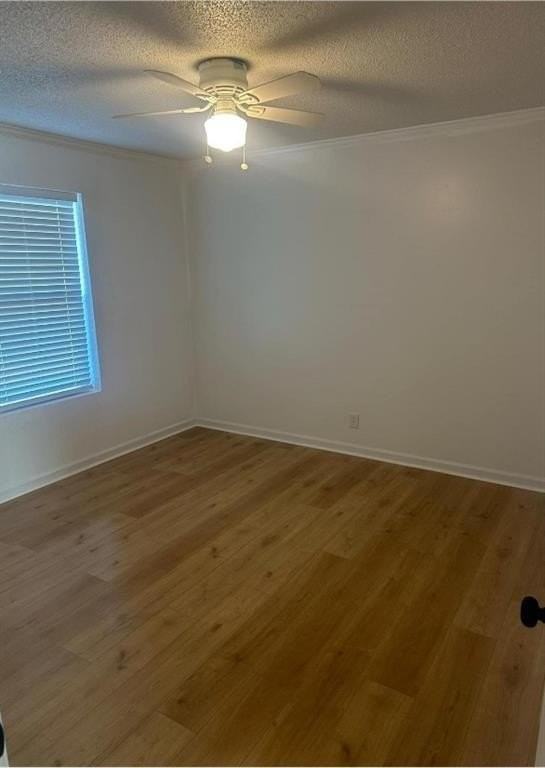 2930 Wheatley St - Photo 5 of 8