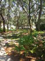 1854 Carnation St - Photo 1 of 1