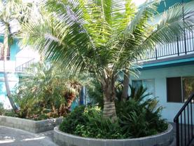 5230 Long Beach Blvd - Photo 1 of 1