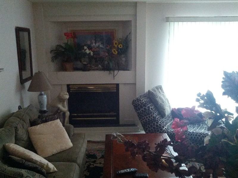 1703 Blue Flint Ct - Photo 3 of 24