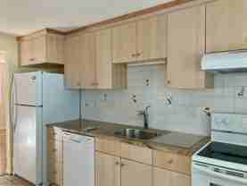 12 Cutter St #1 - Photo 1 of 1