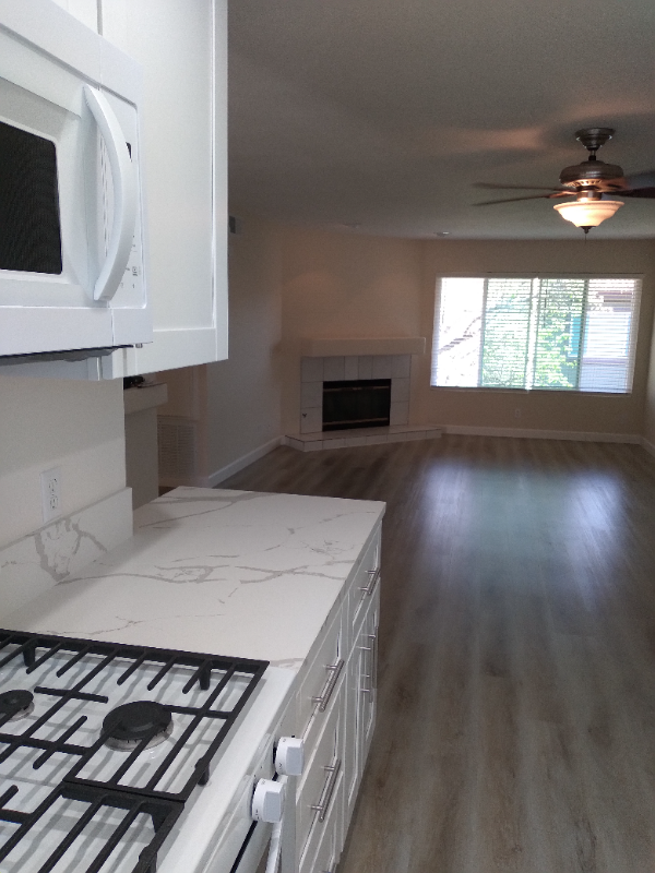 9808 Shirley Gardens Dr #4 - Photo 3 of 16