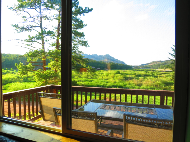 15729 Pine Lake Dr - Photo 3 of 30