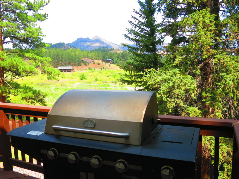 15729 Pine Lake Dr - Photo 6 of 30