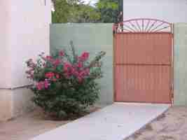 featured image of 805 S 7th Ave