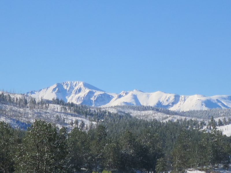 14275 Westcreek Rd - Photo 4 of 30