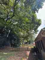 featured image of 247 Kimberly Way Sw