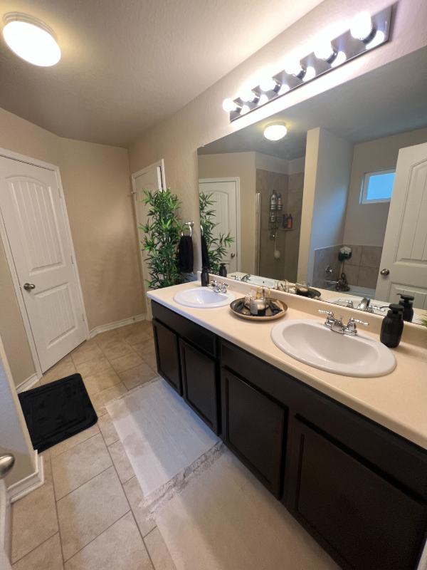 11306 Eagle Tree - Photo 4 of 16