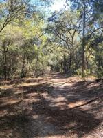 featured image of 224 Pleasant Grove Rd #2