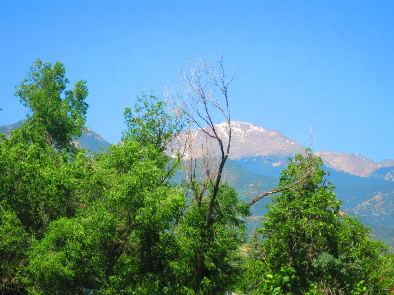 1916 W Platte Ave - Photo 2 of 17