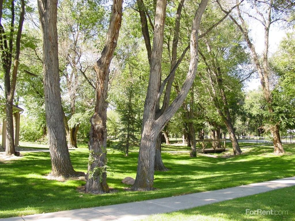 Epernay - Photo 3 of 19