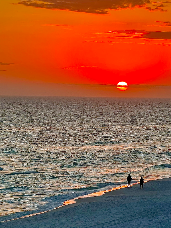 955 Scenic Hwy - Photo 2 of 20