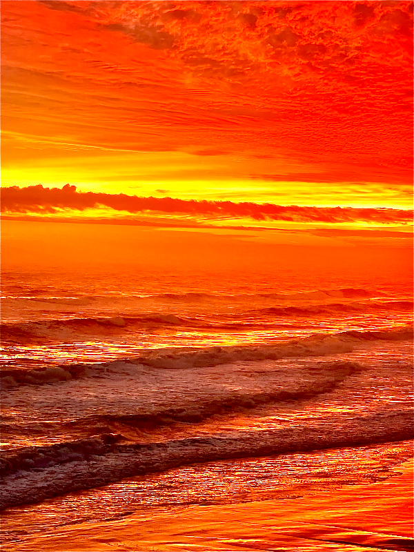 955 Scenic Hwy - Photo 6 of 20