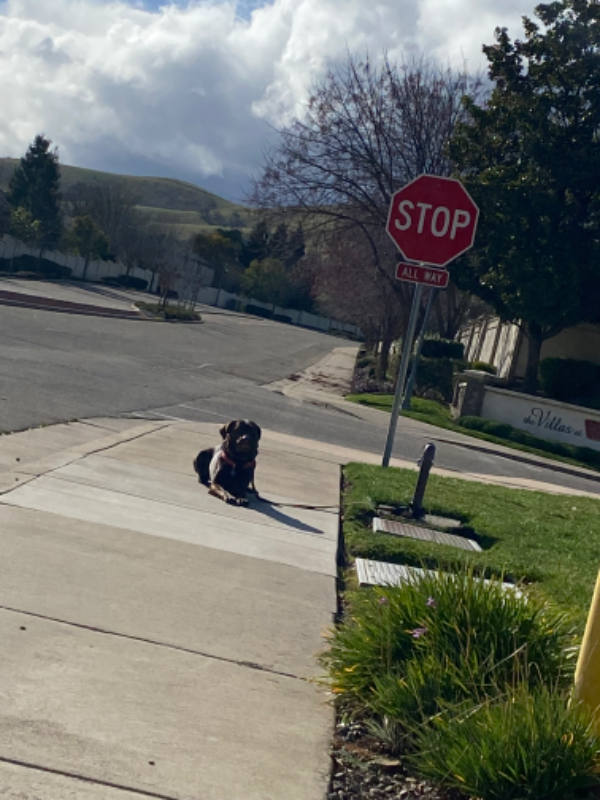 9454 California Oak Cir - Photo 2 of 15