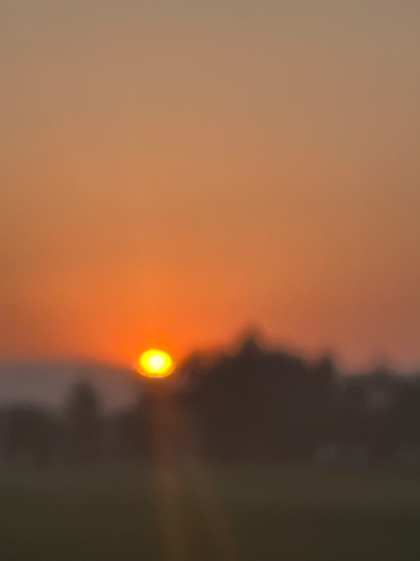 9454 California Oak Cir - Photo 3 of 15