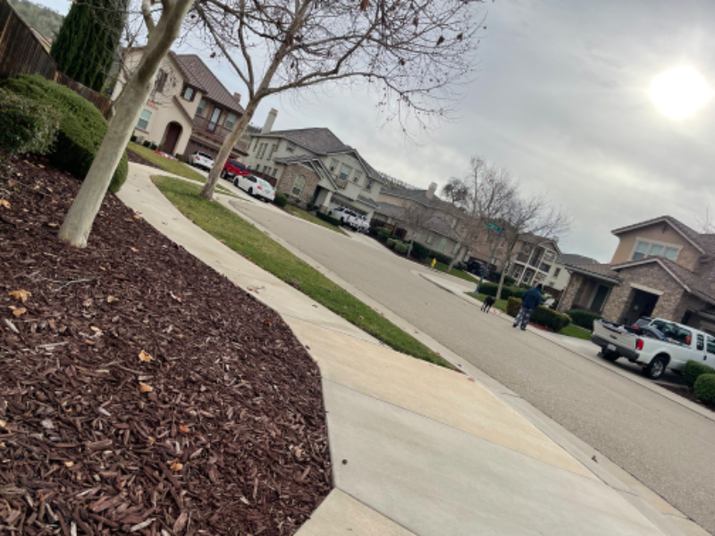 9454 California Oak Cir - Photo 6 of 15