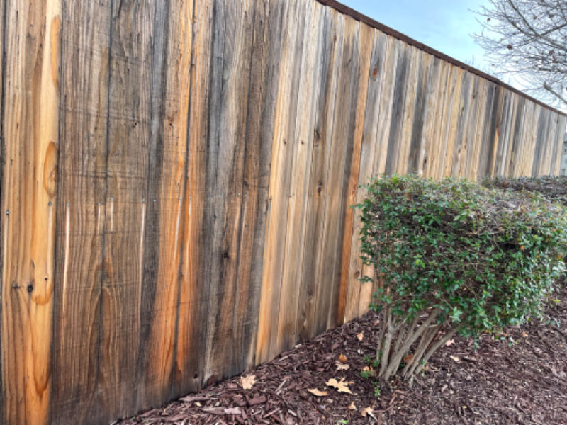 9454 California Oak Cir - Photo 7 of 15