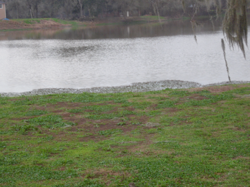 107 Spur - Photo 2 of 24