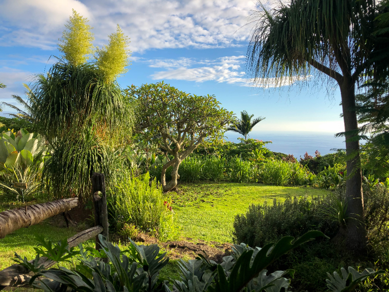 81-6467 Hawaii Belt Rd #1 - Photo 3 of 19