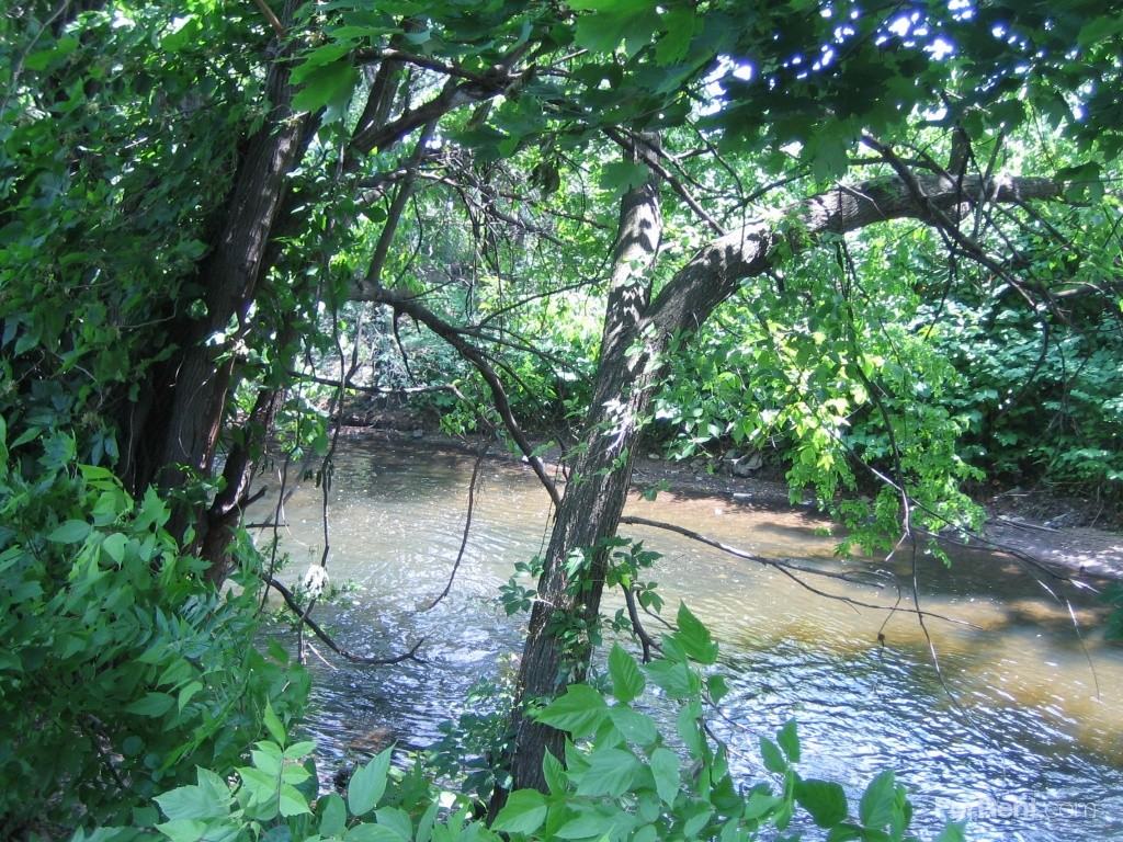 Vista Gardens Apts - Photo 3 of 4