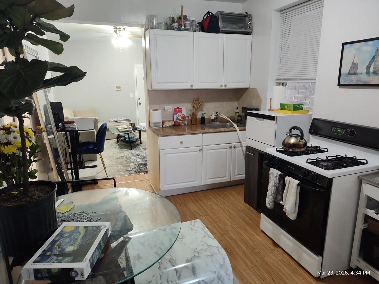 2143 W Belmont Ave #1R - Photo 3 of 9