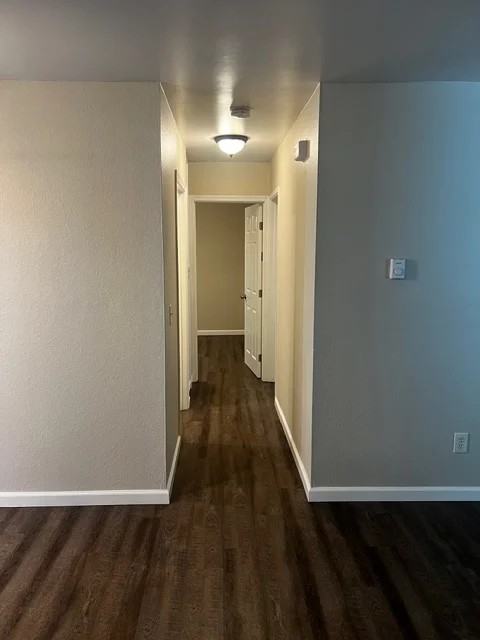 4419 Louisiana St #2 - Photo 5 of 17