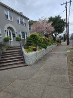 featured image of 203 Howard St #2