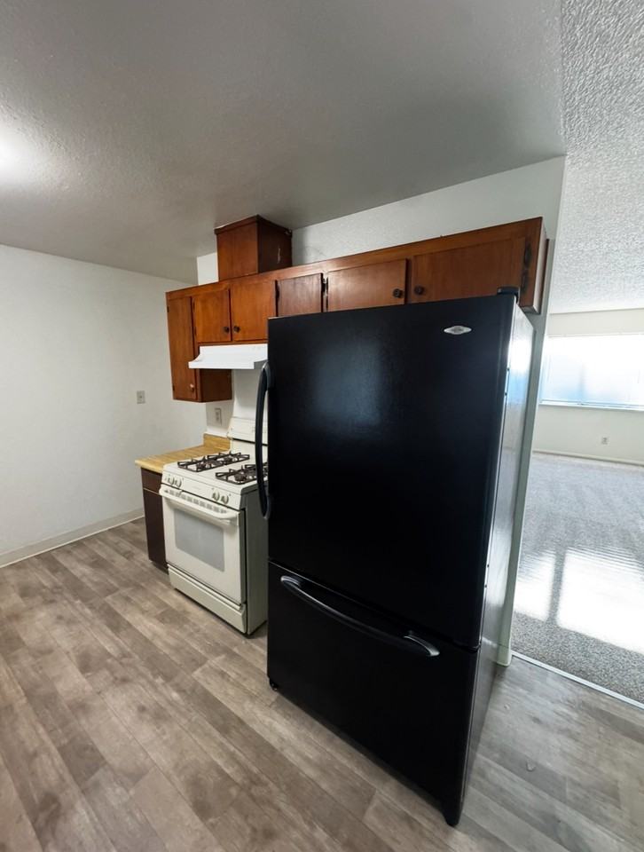 3332 Zamora Way - Photo 7 of 15