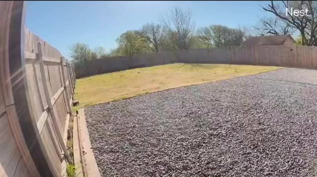 770 Elwayne Ave - Photo 2 of 13