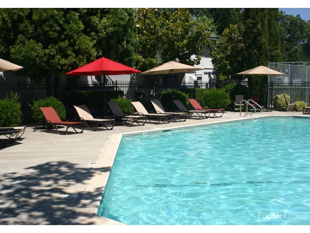 Quail Run - Photo 3 of 19