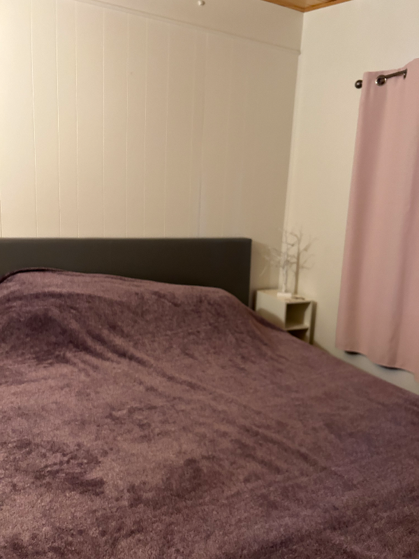 715 Chipmunk Ln - Photo 5 of 13