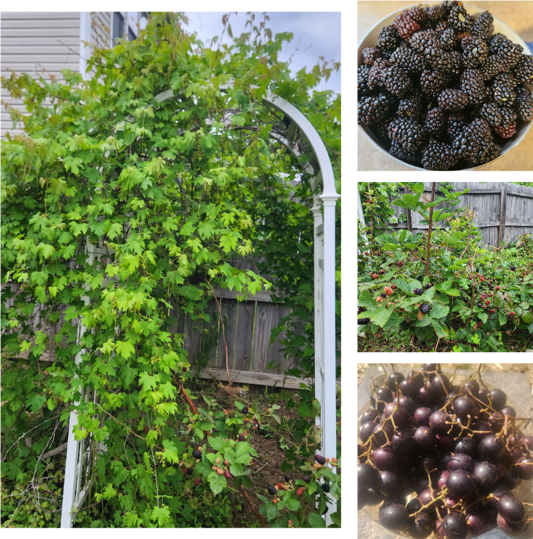 6530 Guard Hill Dr - Photo 2 of 17