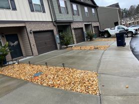 2107 Creel Ln - Photo 1 of 1