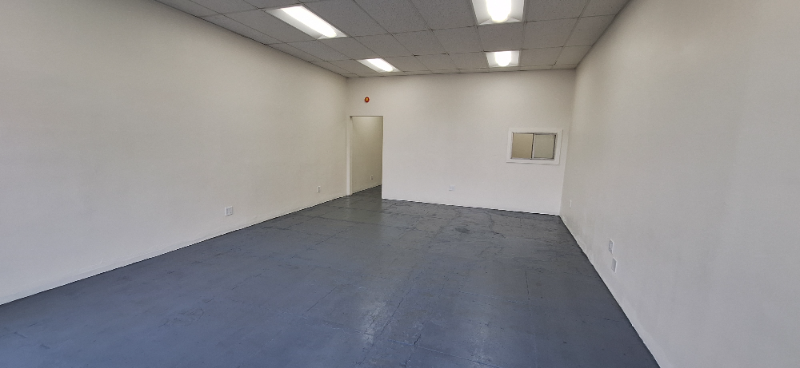 1436 W Martin Luther King Jr Blvd #1436 - Photo 4 of 12