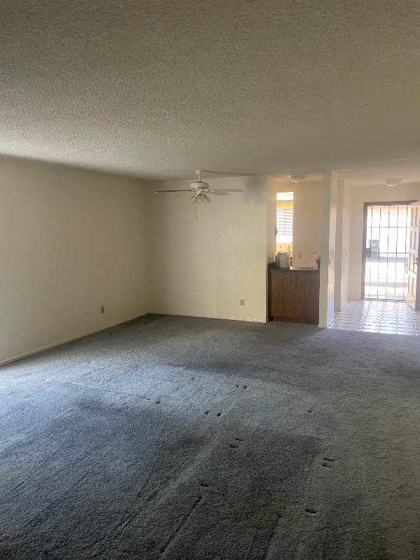 31908 Del Cielo Este #2D - Photo 6 of 32