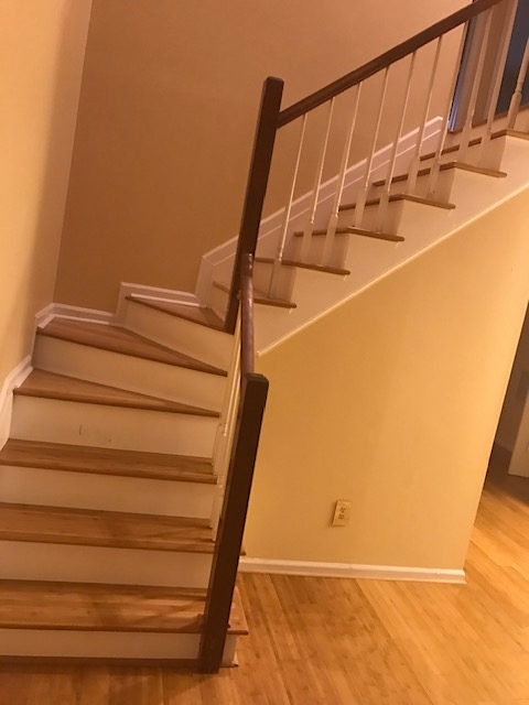 5485 Trumpet Vine Ct - Photo 5 of 20