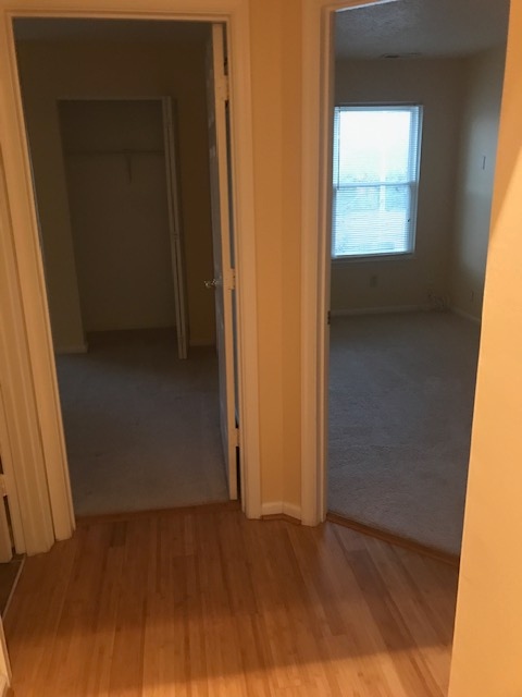 5485 Trumpet Vine Ct - Photo 6 of 20