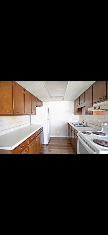 293 Northwood Dr #295 - Photo 7 of 11