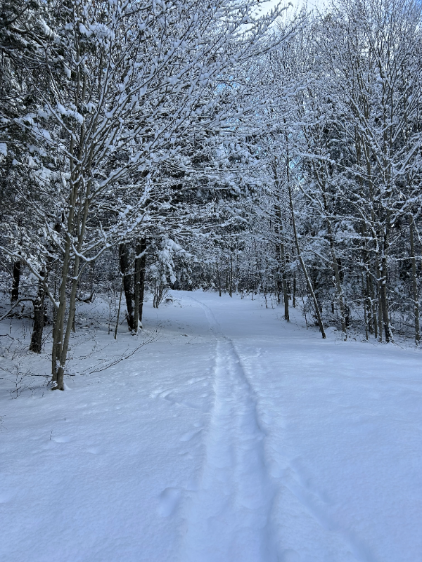 316 E Mountain Rd - Photo 3 of 21