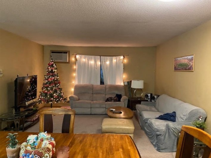 216 West Ave N #216 - Photo 4 of 8