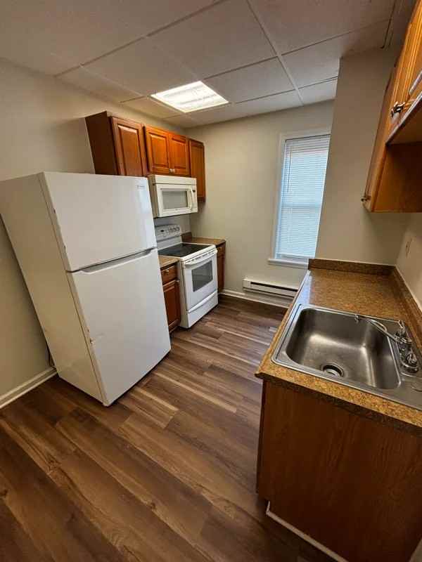 667 Green St #4 - Photo 6 of 9