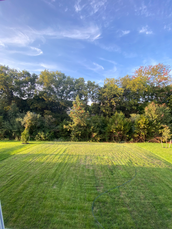 247 Laurel Park Drive - Photo 2 of 16