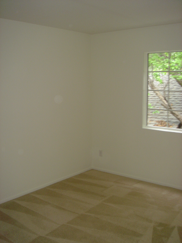 3031 Grand View Blvd #206 - Photo 5 of 9
